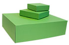 SANTORIN Stülpdeckelkarton grün<br/>160 x 155 x 50 mm